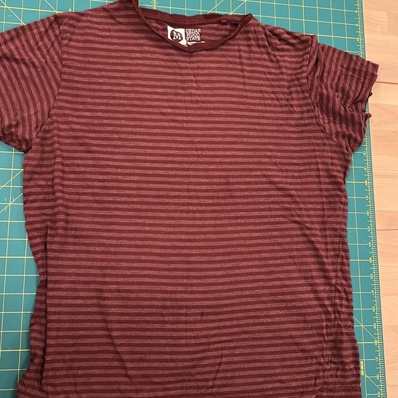 2 Mens t shirts cedar wood state stripes - Picture 3 of 4